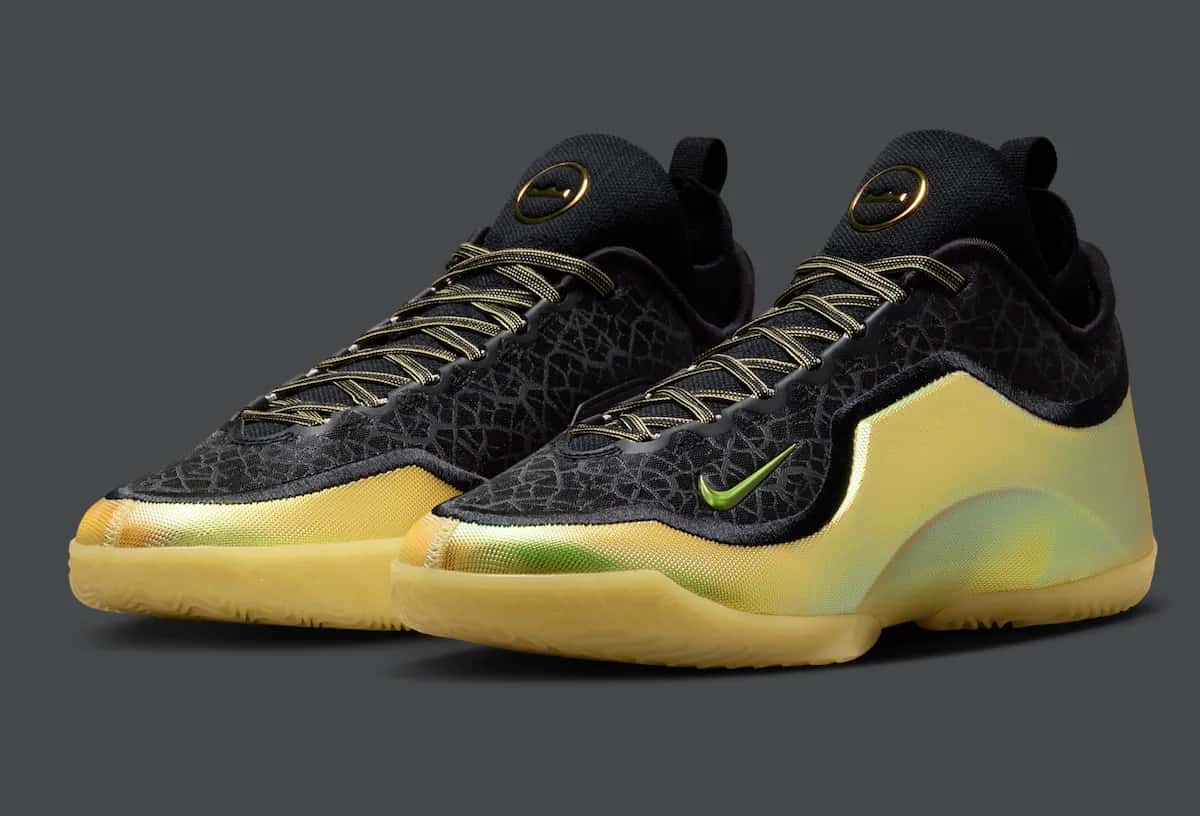 Nike LeBron 23 Elite Hurt Feelings Write History vista lateral